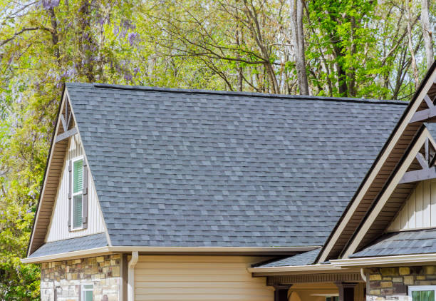 Best Asphalt Shingle Roofing  in Appleton, WI