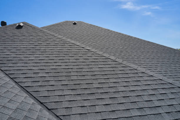 Best Sheet Metal Roofing  in Appleton, WI